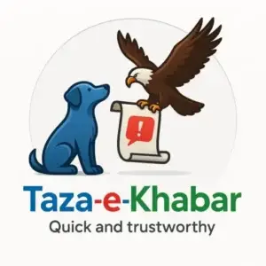 Picture of Taza Team 